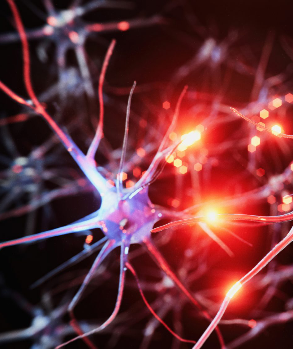 Vision microscopique du réseau cellulaire du cerveau, avec des neurones interconnectés et des impulsions électriques rouges, pour illustrer le neuro profil proposé par Sophie Ianni, Thérapeute Cognitive et Comportementale - Praticienne en Intelligence Émotionnelle